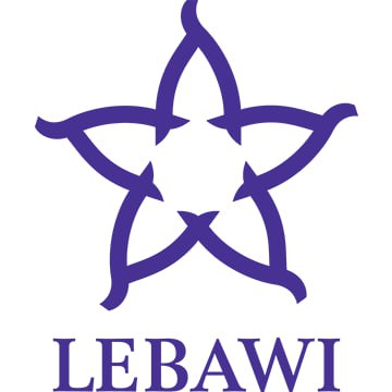 Logo 5